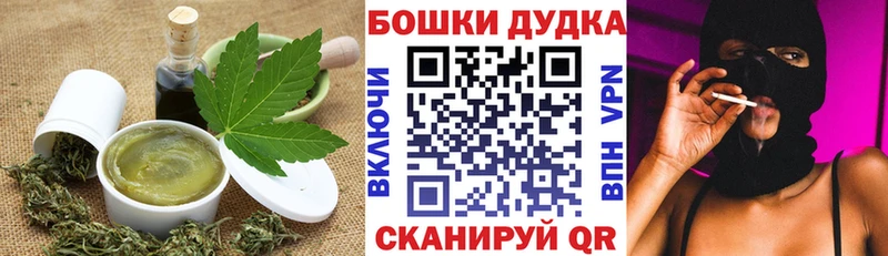Canna-Cookies марихуана  Купить закладки  Питкяранта 