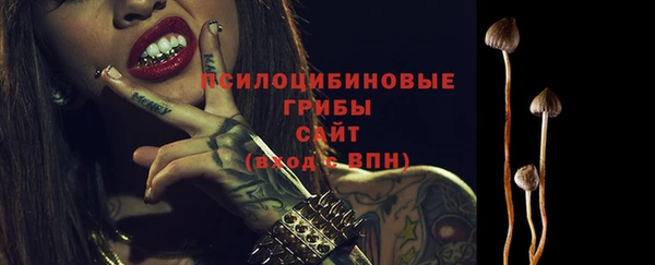 сатива Нягань