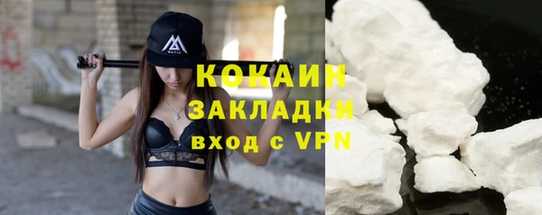сатива Осташков