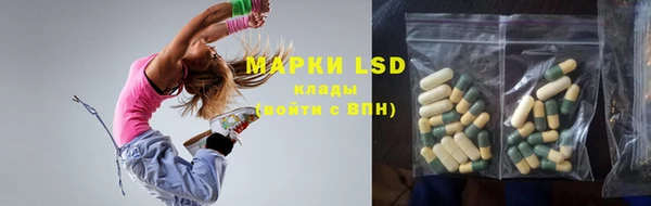 стафф Осинники