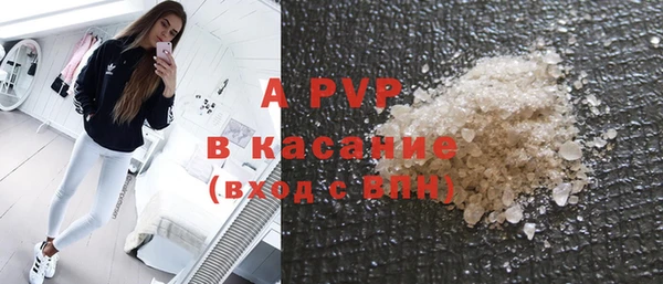 стафф Осинники